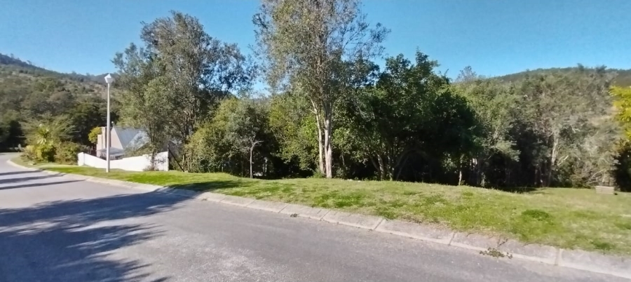 0 Bedroom Property for Sale in Green Pastures Western Cape
